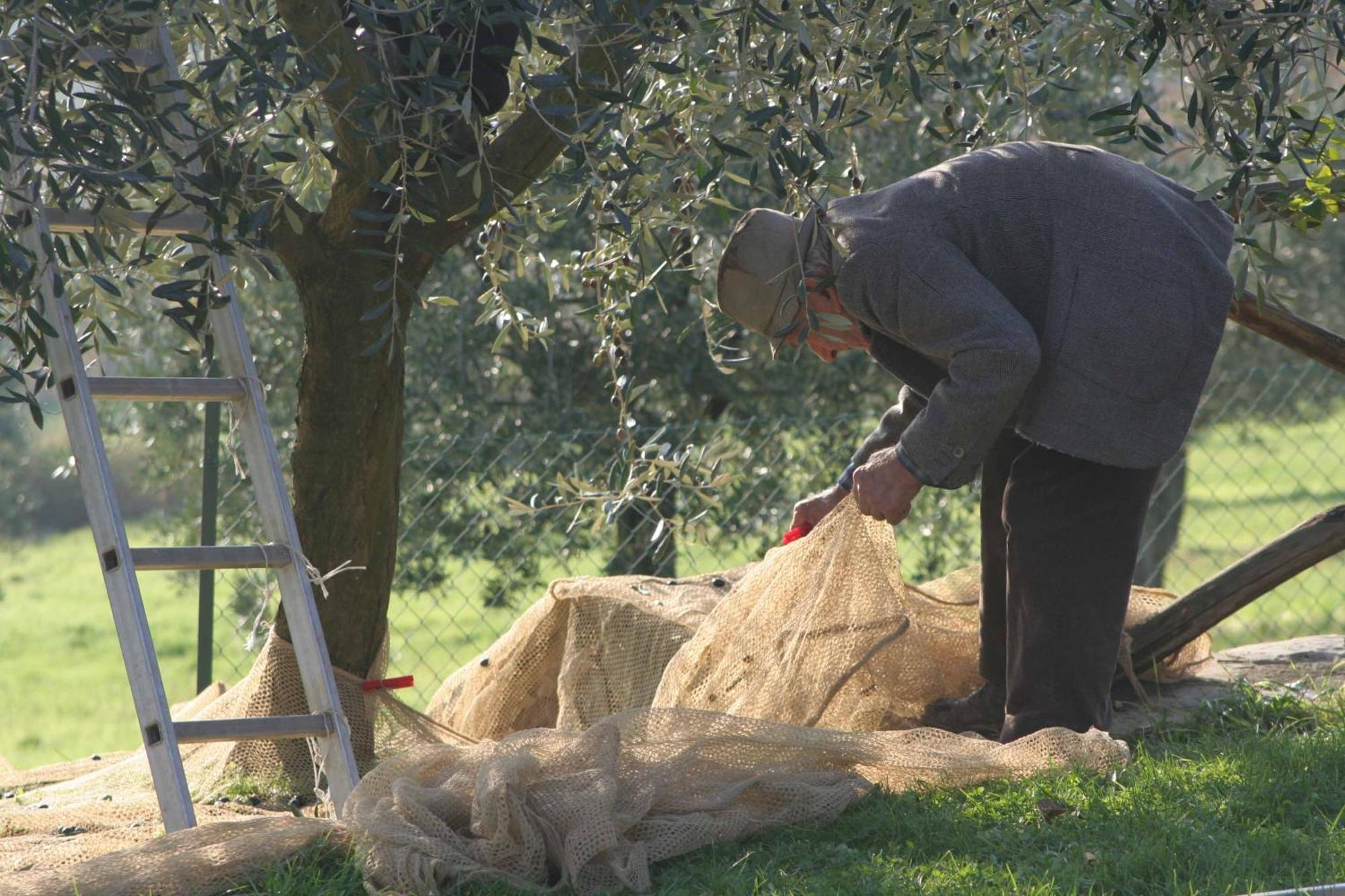 Agriturismo Le Ceregne Bio Pieve Santo Stefano Ngoại thất bức ảnh